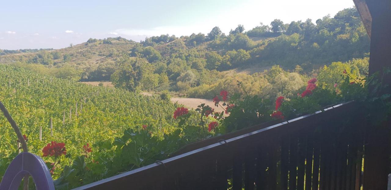 Klet Jana Bed & Breakfast Ястребарско Экстерьер фото